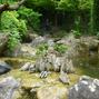 Japanischer Garten Bonn