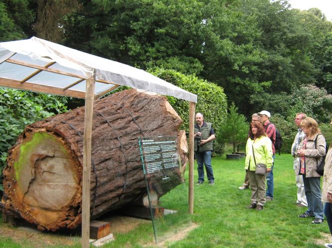 Sequoiafarm Kaldenkirchen 2013