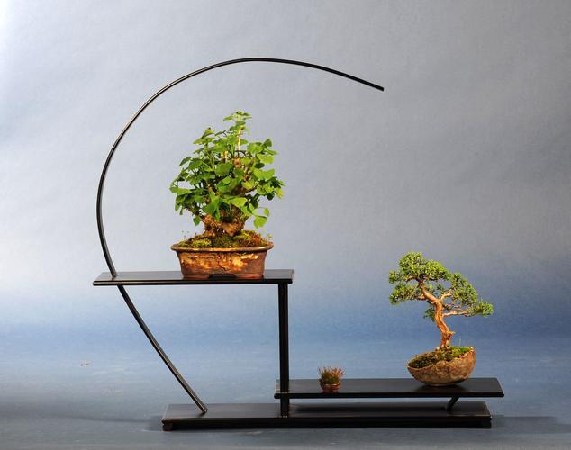 Shohin-Display