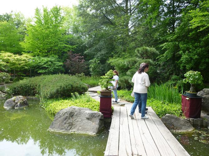 Japanischer Garten Bonn