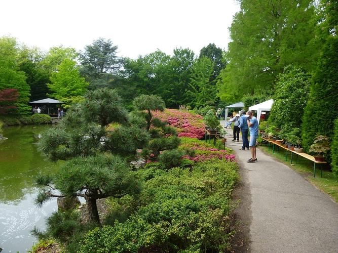 Japanischer Garten Bonn