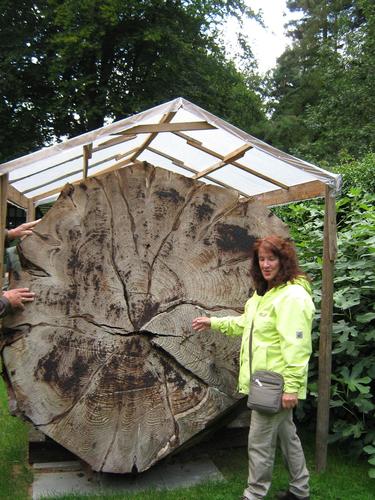 Sequoiafarm Kaldenkirchen 2013