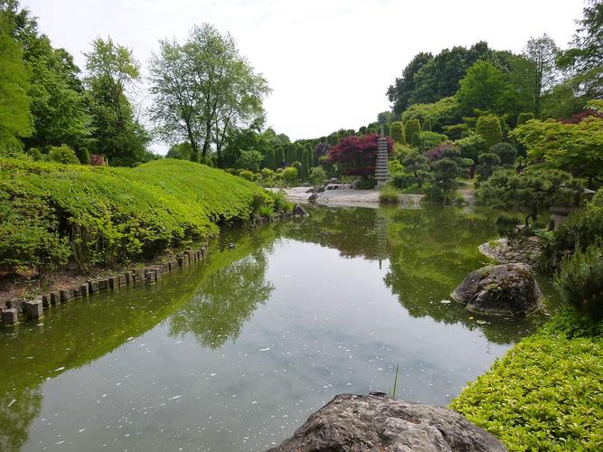 Japanischer Garten Bonn | Bonsai Arbeitskreis Hückelhoven e.V.