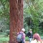 Sequoiafarm Kaldenkirchen 2013