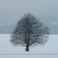 2. Workshop im Dezember